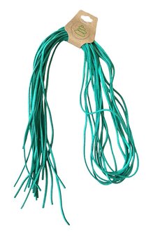 Veters in de kleur groen