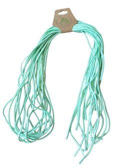 Veters mint groen