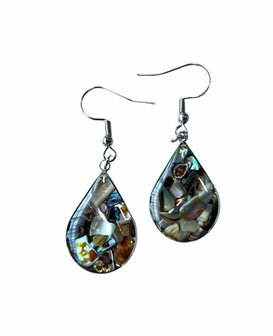 Oorbellen van Abalone