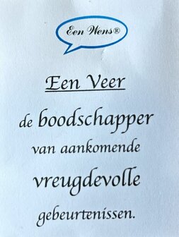 Ketting (verstelbaar) van turquoise veter en veer hanger