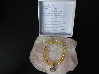 Dames armband Citrien met Tree of Lifebedel