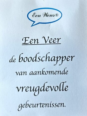 Ketting (verstelbaar) van turquoise veter en veer hanger